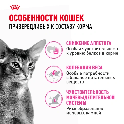 Сухой корм Royal Canin Protein Exigent для кошек, 2 кг фото 2