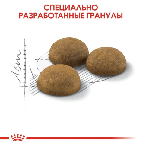 Сухой корм Royal Canin Indoor Long Hair для длинношерстных кошек, живущих в помещении, 400 г фото 3