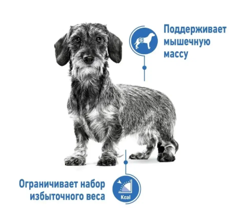 Влажный корм (паштет) Royal Canin Light Weight Care FR для кошек и собак, склонных к набору веса, 85 г фото 2