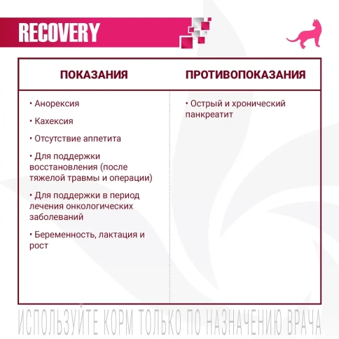 Влажный корм Monge VetSolution Cat Recovery диета для кошек в период восстановления, 100 г фото 3