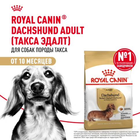 Сухой корм Royal Canin Dachshund Adult для собак породы такса, 7.5 кг фото 13