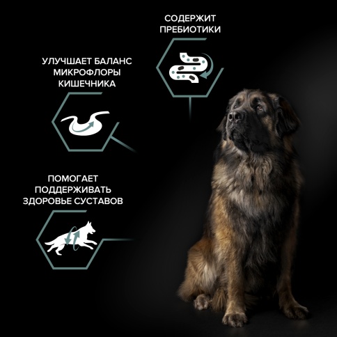 Сухой корм Purina Pro Plan Large Robust Adult для крупных собак (мощное сложение), с ягненком, 18 кг фото 2