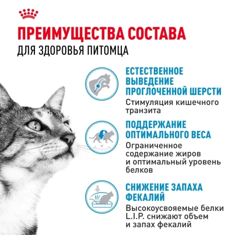 Сухой корм Royal Canin Indoor для взрослых кошек, живущих в помещении, 10 кг фото 3