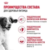 Сухой корм Royal Canin Medium Adult PRO для собак средних пород, 20 кг фото 2