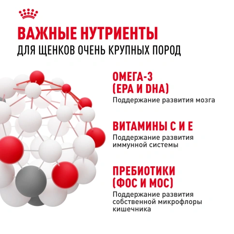 Сухой корм Royal Canin Giant Puppy для щенков, 3.5 кг фото 5