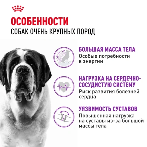 Сухой корм Royal Canin Giant Adult PRO для взрослых собак гигантских пород, 20 кг фото 3