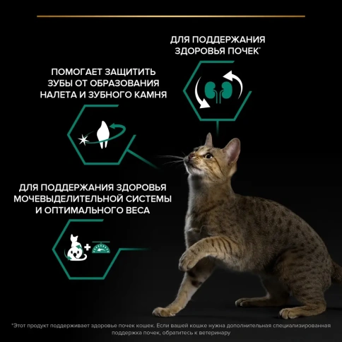 Сухой корм Purina Pro Plan Cat Adult Sterilised для стерилизованных кошек, с индейкой, 200 г фото 2