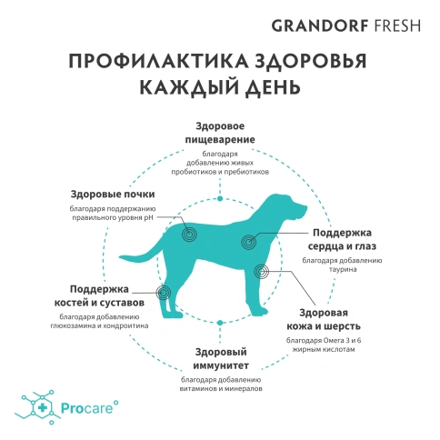 Сухой корм Grandorf Fresh Dog для взрослых собак крупных пород лосось с бататом 3 кг фото 4