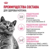 Сухой корм Royal Canin Kitten British Shorthair для котят породы британская короткошерстная, 400 г фото 2