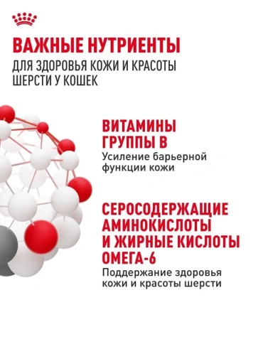 Влажный корм Royal Canin Hair & Skin Care в желе для взрослых кошек, для здоровья кожи и шерсти, пауч, 85 г фото 4