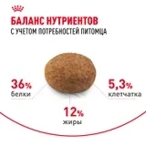Сухой корм Royal Canin Sterilised 7+ для стерилизованных кошек старше 7 лет, 400 г фото 4