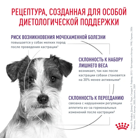Сухой корм Royal Canin Neutered Adult Small Dogs для стерилизованных собак мелких пород, 800 г фото 2