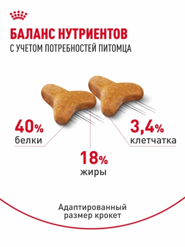 Сухой корм Royal Canin Bengal для взрослых бенгальских кошек, 400 г фото 4