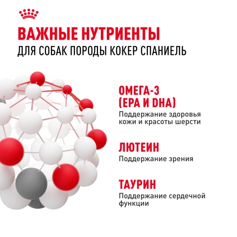 Сухой корм Royal Canin Cocker Adult для собак породы кокер-спаниель, 3 кг фото 5