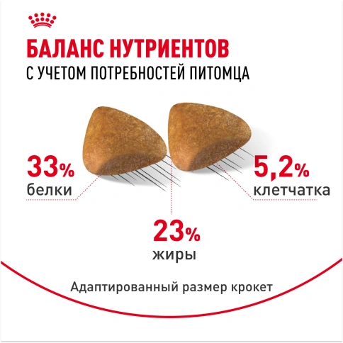 Сухой корм Royal Canin Sphynx для кошек породы сфинкс, 400 г фото 4