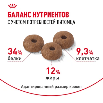 Сухой корм Royal Canin Appetite Control Care для взрослых кошек для контроля выпрашивания корма, 400 г фото 4