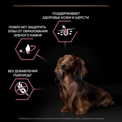 Сухой корм Purina Pro Plan Adult Small & Mini Sensitive Skin для собак мелких и карликовых пород, лосось и рис, 700 г фото 2