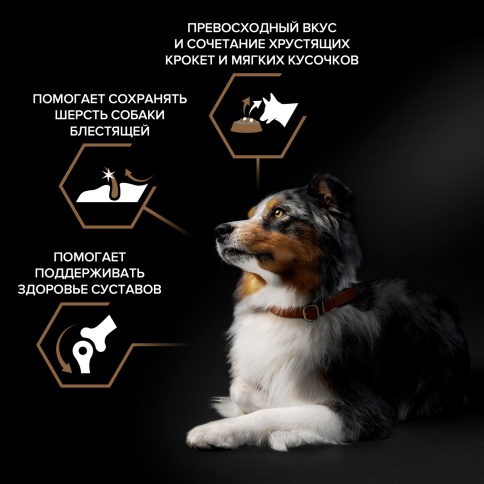 Сухой корм Purina Pro Plan Duo Delice для взрослых собак средних и крупных пород, говядина и рис, 10 кг фото 2