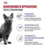 Сухой корм Royal Canin Sterilised 37 для стерилизованных кошек, 2 кг фото 2