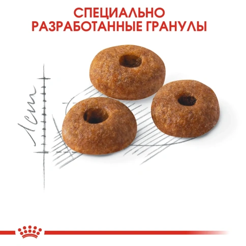 Сухой корм Royal Canin Fit 32 для взрослых кошек, с птицей, 400 г фото 4