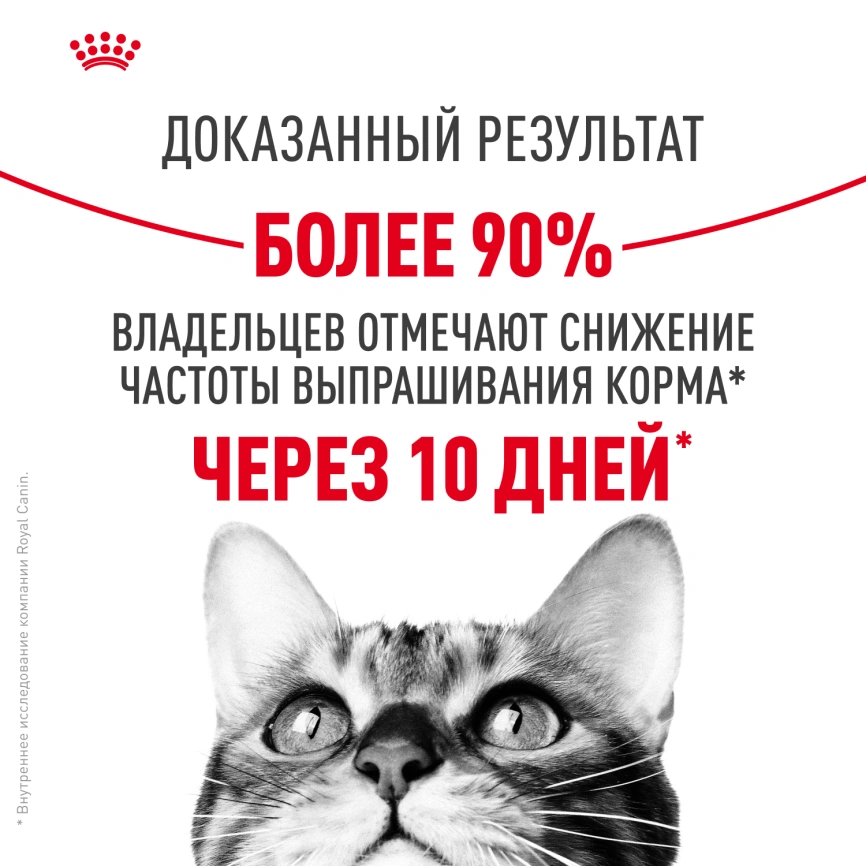 Сухой корм Royal Canin Appetite Control Care для кошек для контроля аппетита, 2 кг фото 11