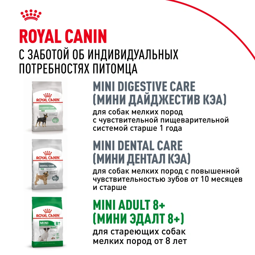 Сухой корм Royal Canin Mini Adult для взрослых собак, 8 кг фото 10