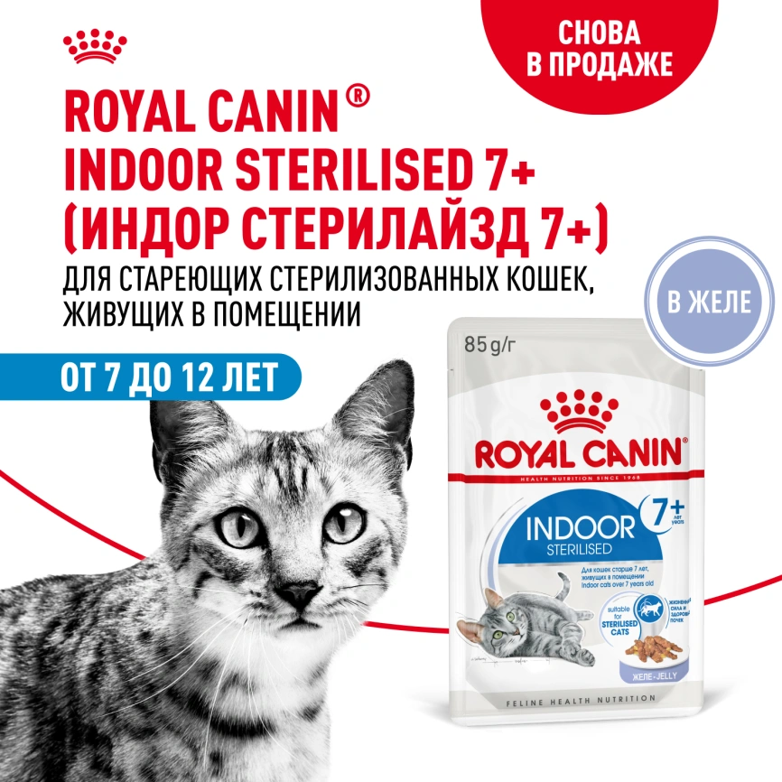 Влажный корм Royal Canin Indoor 7+ в желе для кошек старше 7 лет, живущих в помещении, пауч, 85 г фото 14