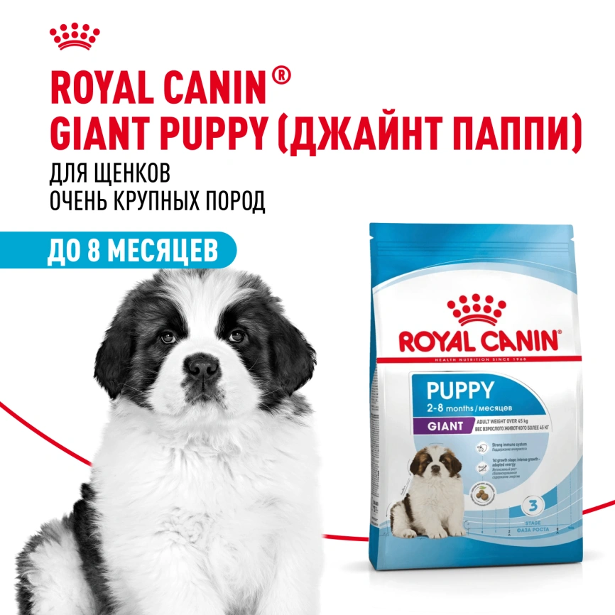 Сухой корм Royal Canin Giant Puppy для щенков, 15 кг фото 12