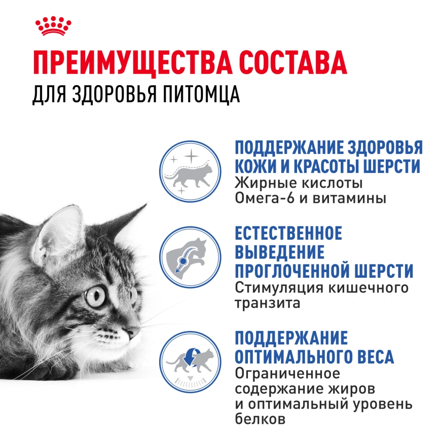 Сухой корм Royal Canin Indoor Long Hair для кошек, 2 кг фото 3