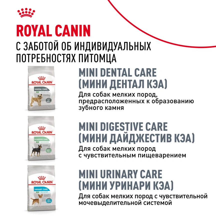 Сухой корм Royal Canin Mini Dermacomfort для собак, 1 кг фото 10