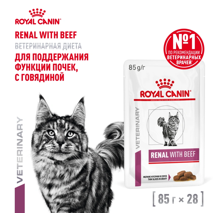 Влажный корм Royal Canin Renal with Beef в соусе для кошек при заболеваниях почек, с говядиной, пауч, 85 г фото 12