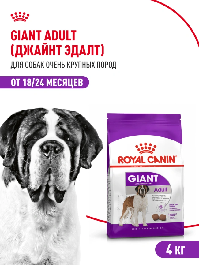 Сухой корм Royal Canin Giant Adult для собак, 4 кг фото 13