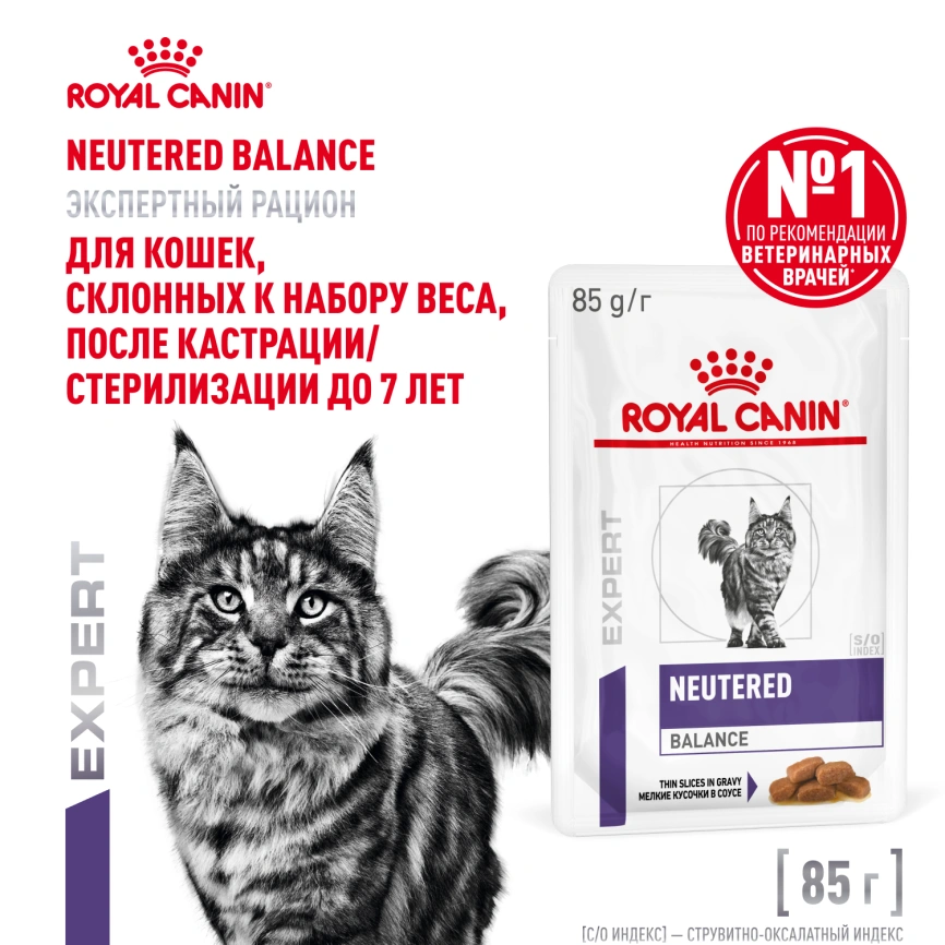 Влажный корм Royal Canin Neutered Balance в соусе для стерилизованных кошек до 7 лет, пауч, 85 г фото 1