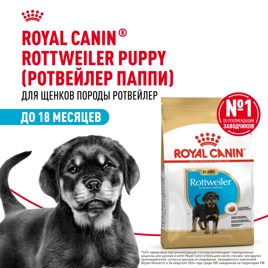Сухой корм Royal Canin Rottweiler Puppy для щенков, 12 кг фото 13