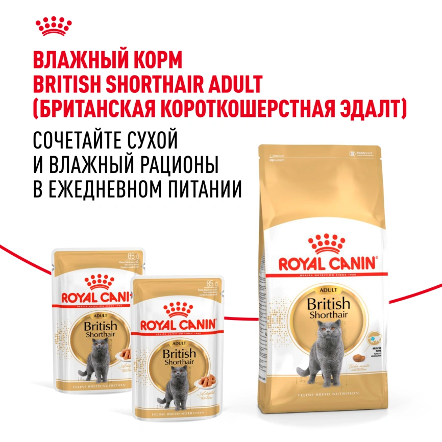 Сухой корм Royal Canin British Shorthair для кошек породы британская короткошерстная, 4 кг фото 8