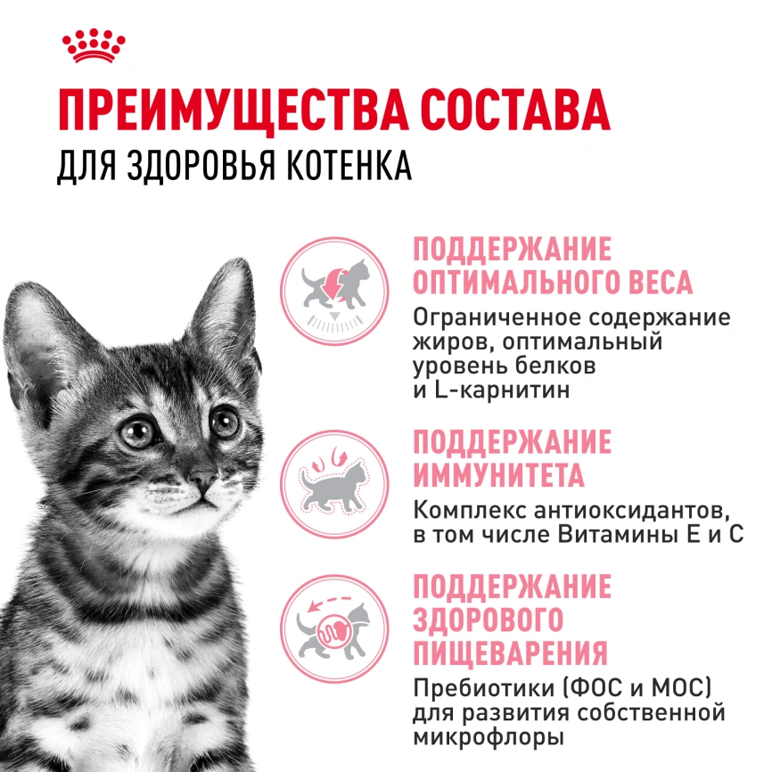 Сухой корм Royal Canin Kitten Sterilised для котят, 3.5 кг фото 3