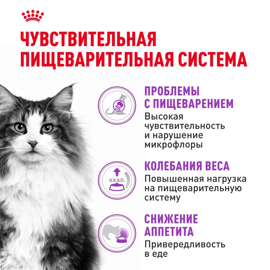 Сухой корм Royal Canin Sensible для кошек, 2 кг фото 3