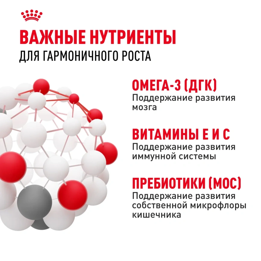 Влажный корм Royal Canin Medium Puppy для щенков средних пород в соусе, 100 г фото 4