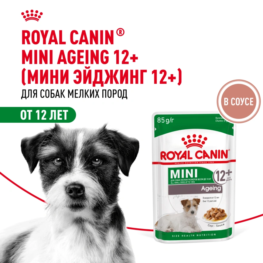 Влажный корм Royal Canin Mini Ageing 12+ в соусе для стареющих собак мелких пород старше 12 лет, пауч, 85 г фото 13