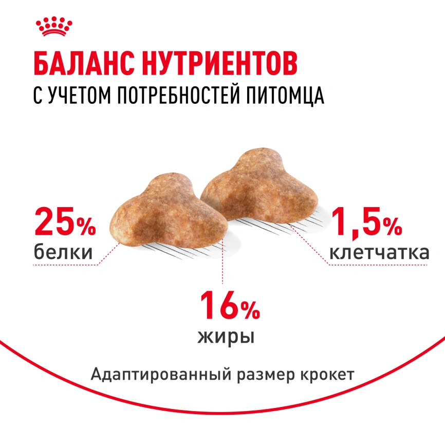 Сухой корм Royal Canin Pug Adult для взрослых собак, 7.5 кг фото 4