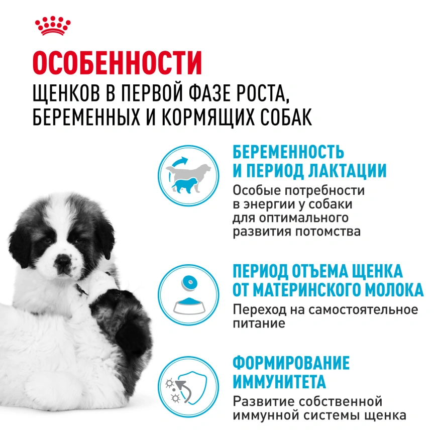 Сухой корм Royal Canin Giant Starter Mother & Babydog для щенков и собак, 4 кг фото 2