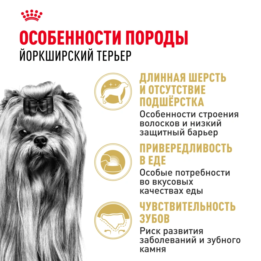 Сухой корм Royal Canin Yorkshire Terrier Adult для взрослых собак фото 2