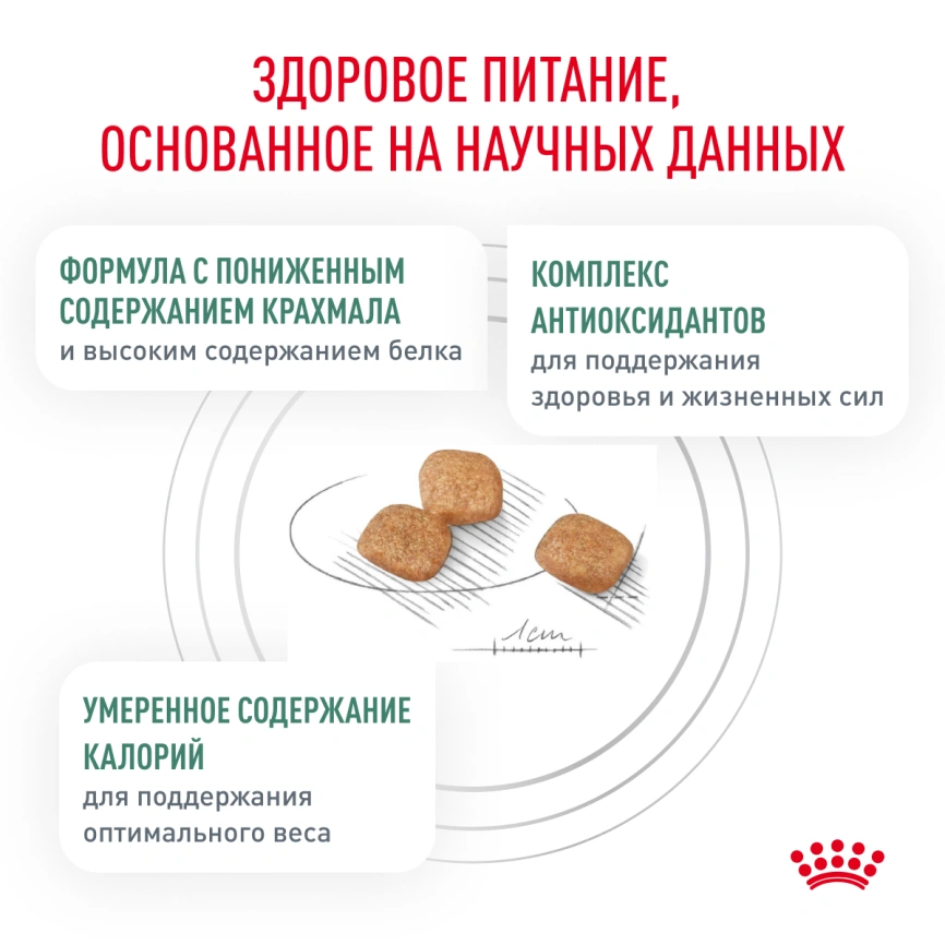 Сухой корм Royal Canin Diabetic для кошек, 1.5 кг фото 8