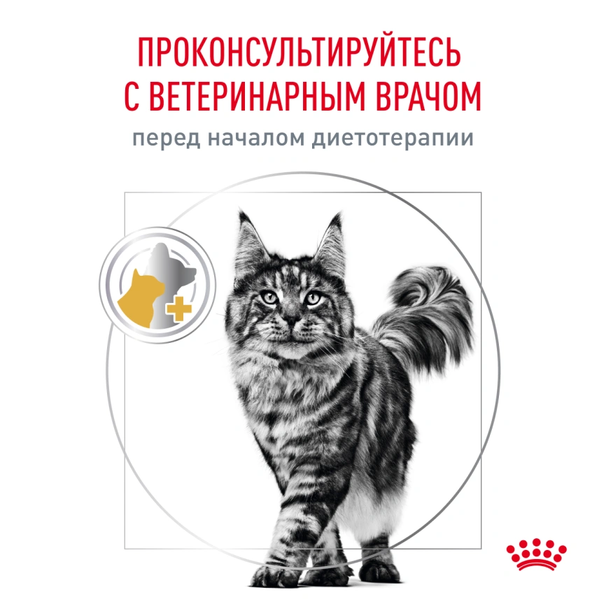 Сухой корм Royal Canin Urinary S/O Moderate Calorie для кошек, 1.5 кг фото 8