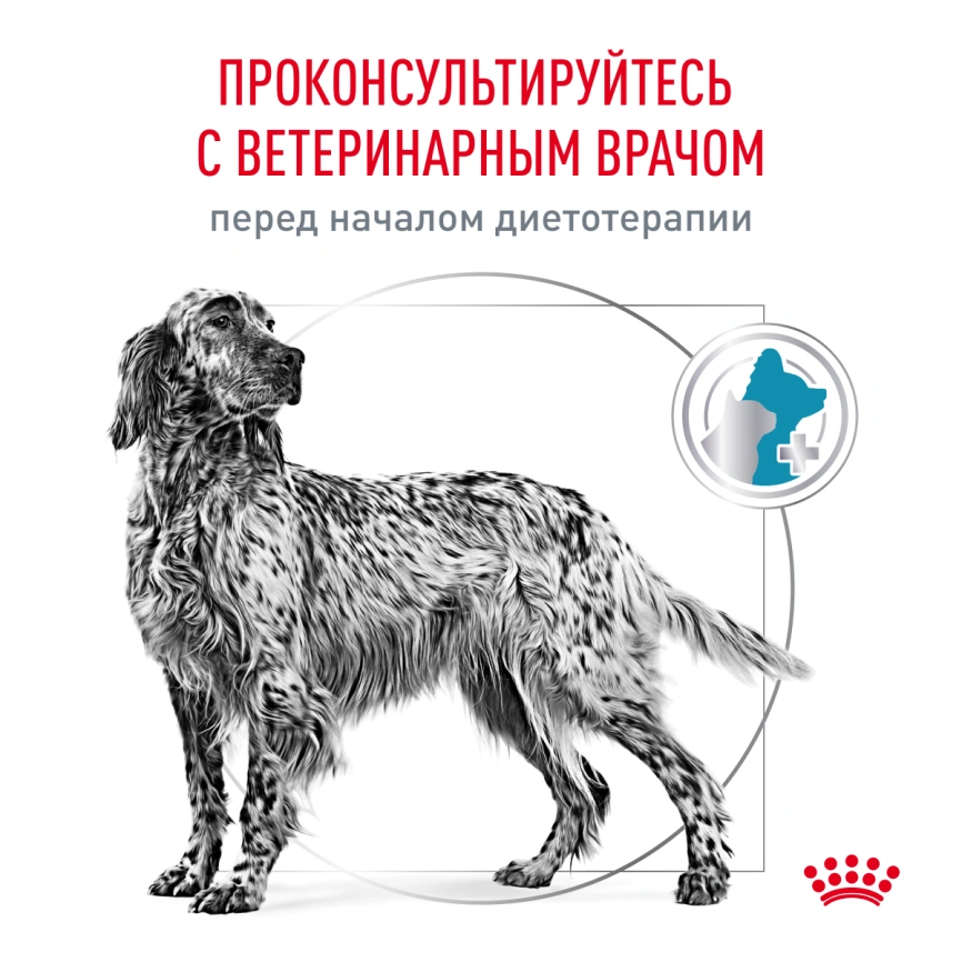 Сухой корм Royal Canin Hypoallergenic для собак, 4 кг фото 8