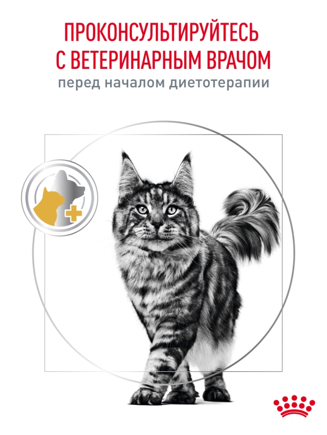 Сухой корм Royal Canin Urinary S/O для кошек при мочекаменной болезни, 1.5 кг фото 20