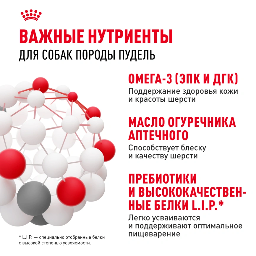 Сухой корм Royal Canin Poodle Adult для взрослых собак, 3 кг фото 4
