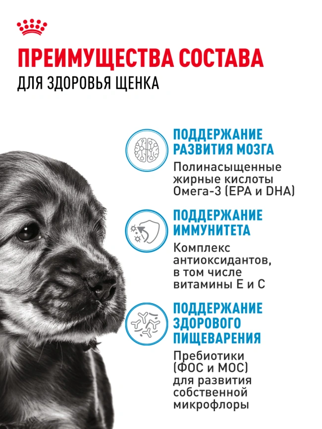 Влажный корм Royal Canin Mini Puppy в соусе для щенков мелких пород до 10 месяцев, пауч, 85 г фото 3