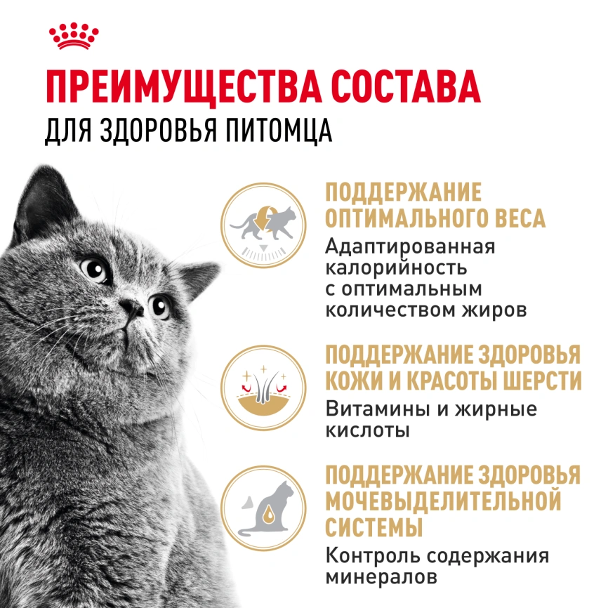 Влажный корм Royal Canin British Shorthair в соусе для кошек породы британская короткошерстная и шотландская вислоухая старше 1 года, пауч, 85 г фото 2