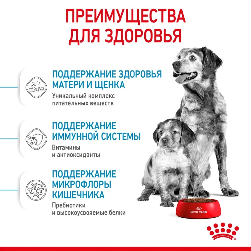 Сухой корм Royal Canin Medium Starter Mother & Babydog для собак, 12 кг фото 3